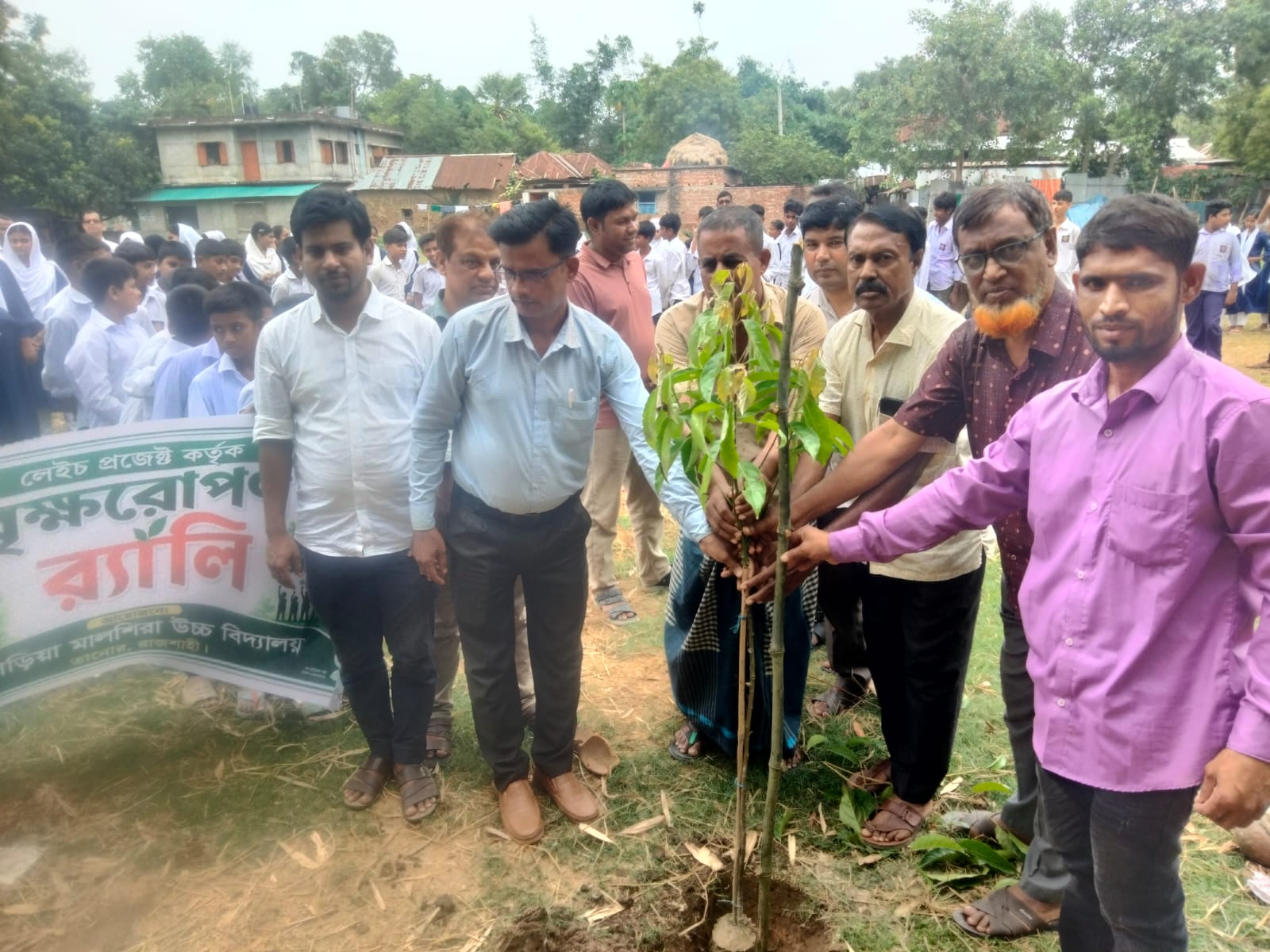 সবুজ ক্যাম্পাস গড়ার উদ্যোগ